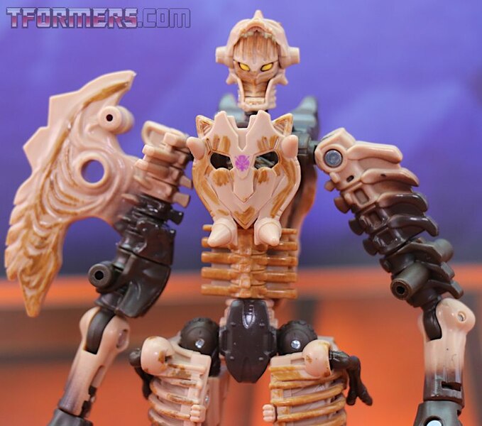 Transformers Kingdom Paleotrex Wave 1 Deluxe  (3 of 43)